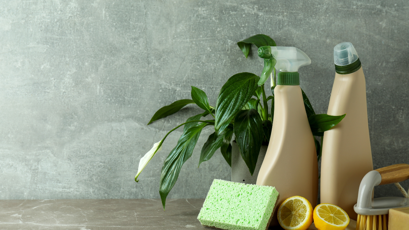 The Rise of Eco-Friendly Car Detailing Products